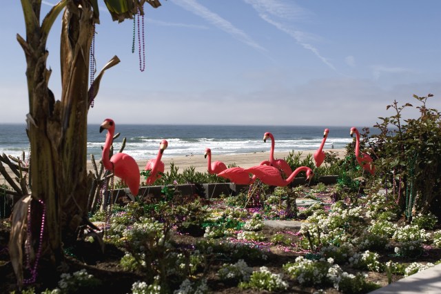 – The Birds & the Beads