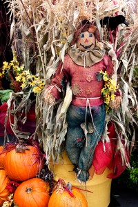 Autumn Holidays_sm copy